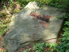 Jívová