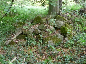 Dvorce u Bruntálu