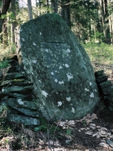 Branná