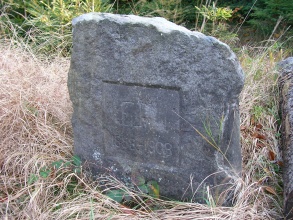 Jedlová