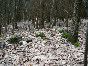 Oskava