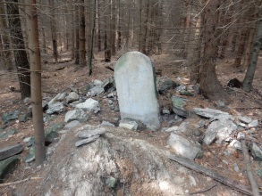 Třemešek