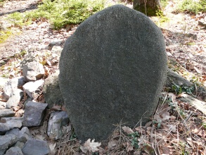 Jedlí
