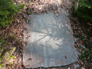 Strážná